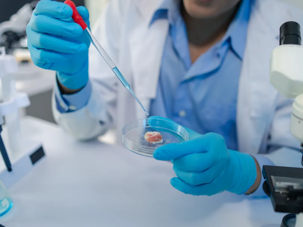 A scientist in blue gloves working with a pipette and culture dish beside a microscope