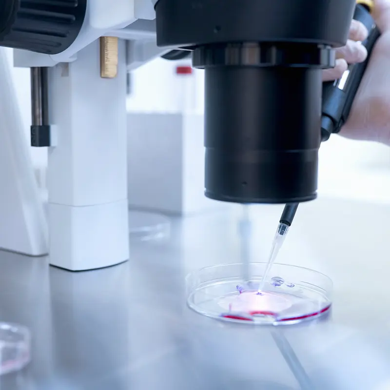 An embryologist placing a sample into a dish under the microscope in an IVF lab
