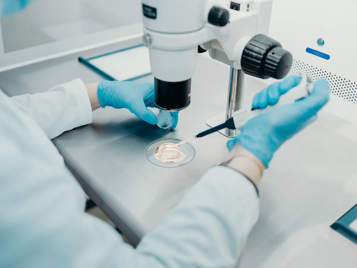 Gloved hands working with a culture dish under a laboratory microscope