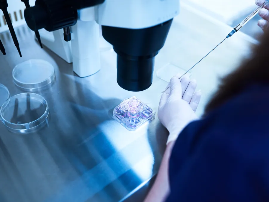 An IVF laboratory microscope beside culture dishes under cool blue light
